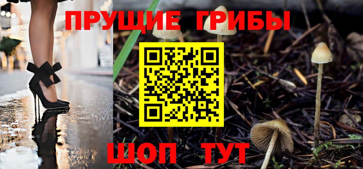 Галлюциногенные грибы Magic Shrooms Белогорск